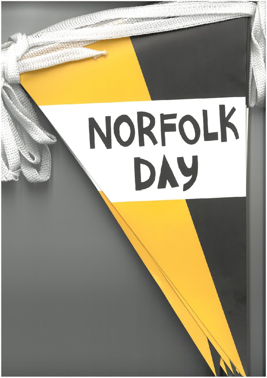 Ahead of Norfolk Day : 27th July, 2023